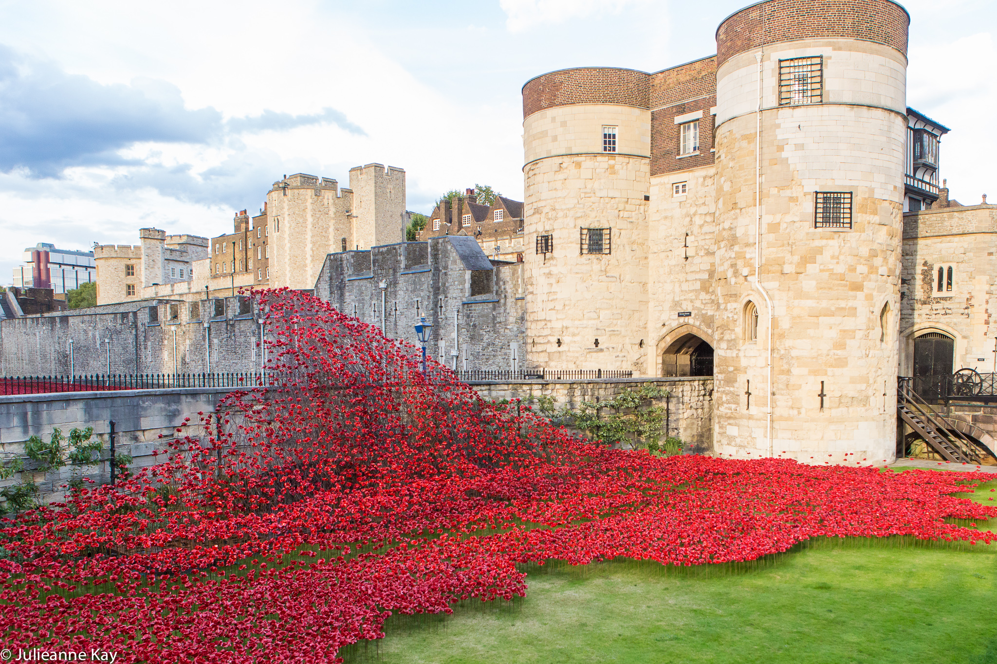 Tower of London Poppies