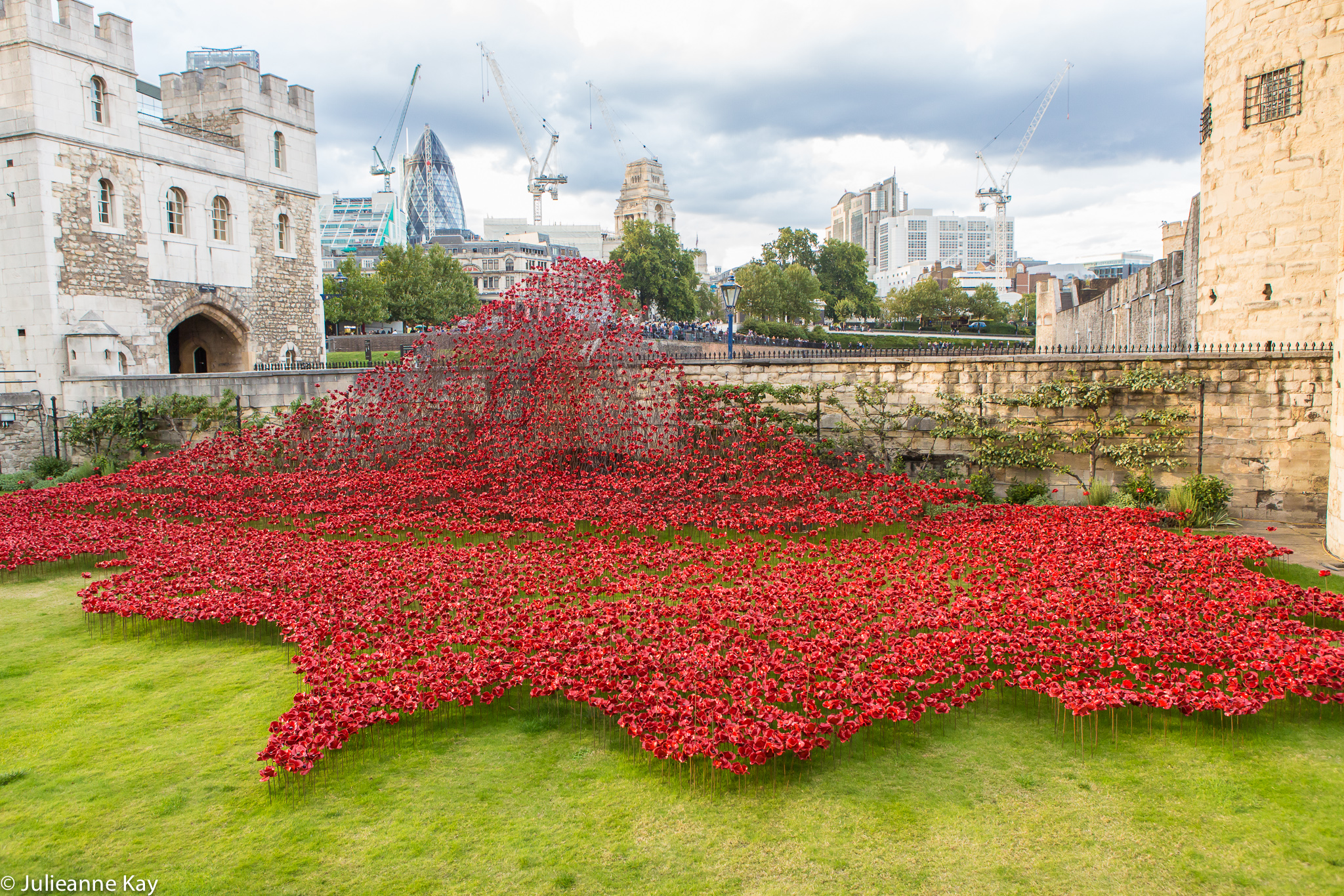 Tower of London Poppies