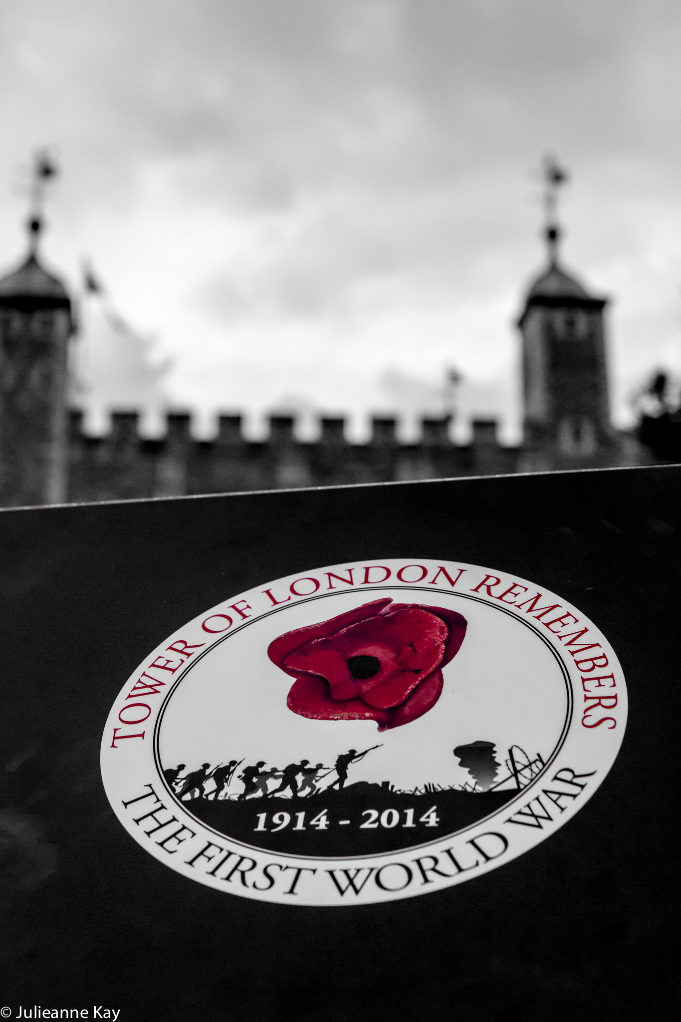 Tower of London Poppies