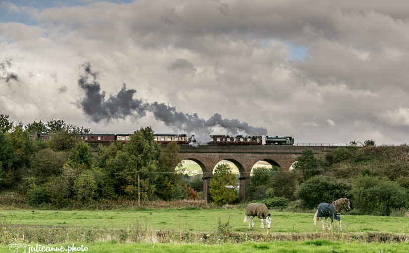 Steam on the Seven Arches