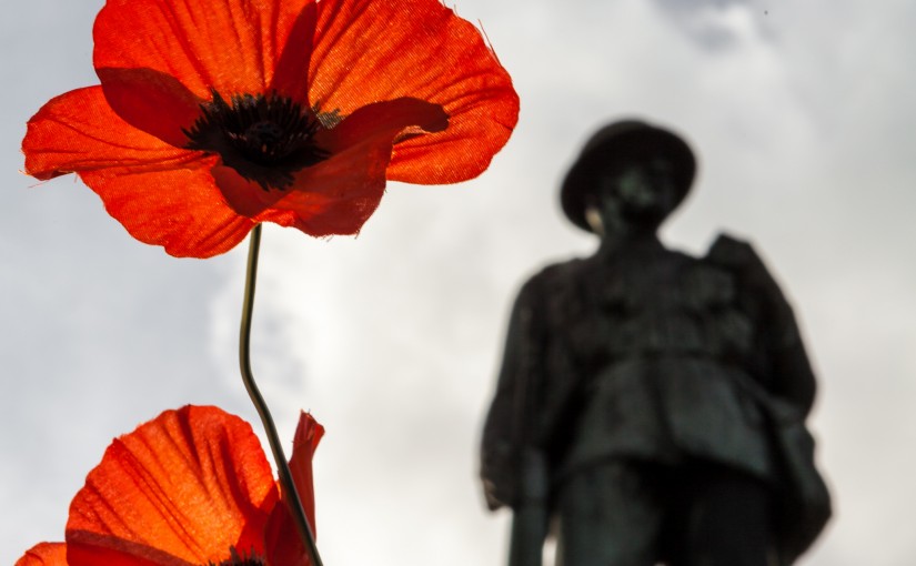 War memorial soldier and poppy.